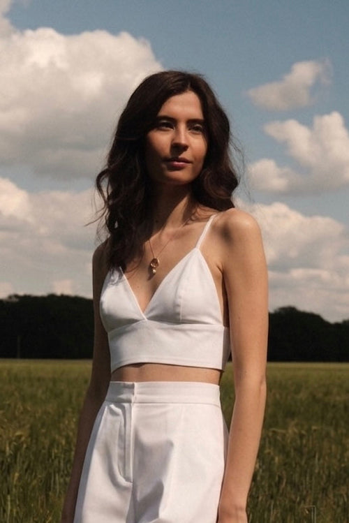 TOP LEI